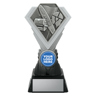 Diamond Silver - Lifesaving