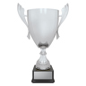 Ironside Cup - Silver!