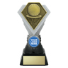 Diamond Gold - Netball