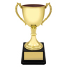 Ultimate Gold Cup!
