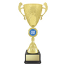 Showdown Cup!