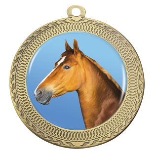 Ovation - Horse