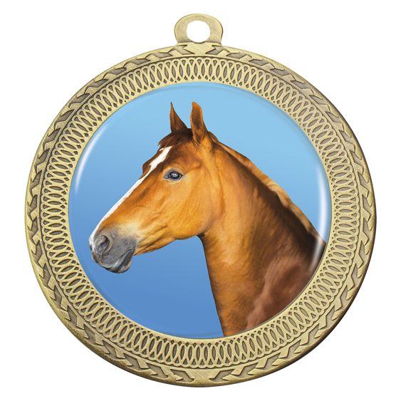 Ovation - Horse!