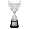 Cruiser Cup - Silver