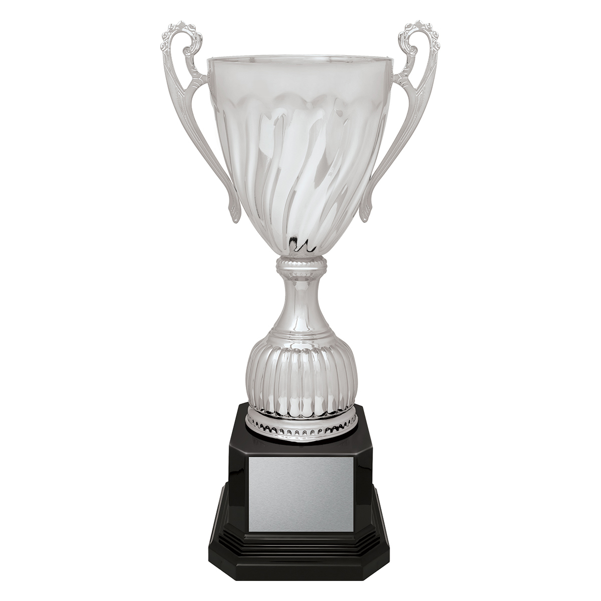 Cruiser Cup - Silver