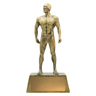 Swim Male Hero!