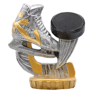 Ice Hockey Top