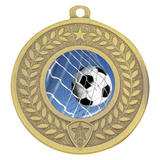Distinction - Ball in Net