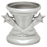 Silver Stars