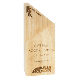 Arrow Award