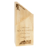 Arrow Award!