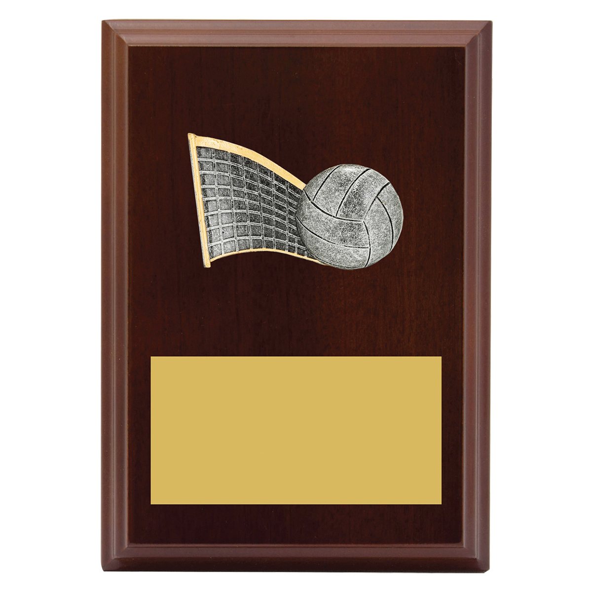 Peak Plaque Volleyball