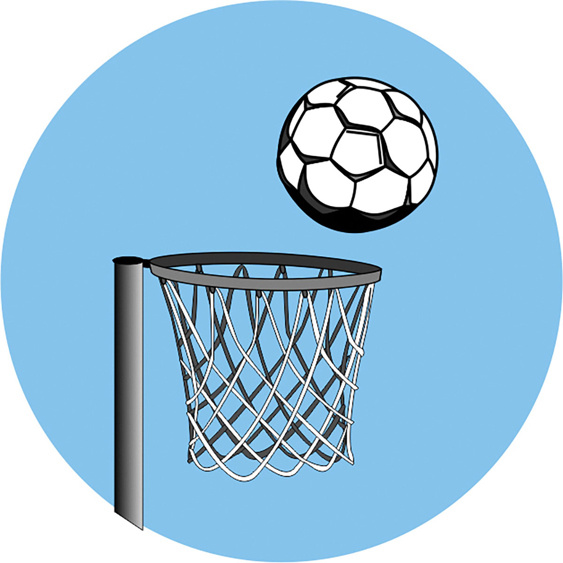 Traditional Centres - Netball Domed 25 & 50mm Insert - Trophies ...