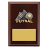 Peak Plaque Futsal