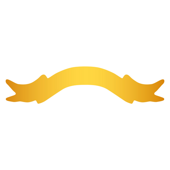 Gold Ribbon 235mm!
