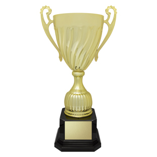 Presentation Cups