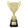 Cruiser Cup - Gold