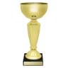 Geneva Cup!
