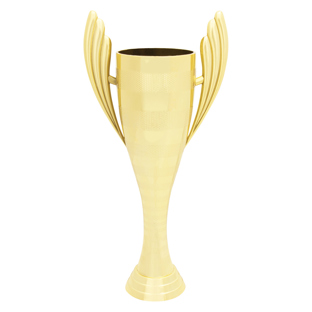 Guardian Cup