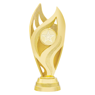 Vision Cup - Gold