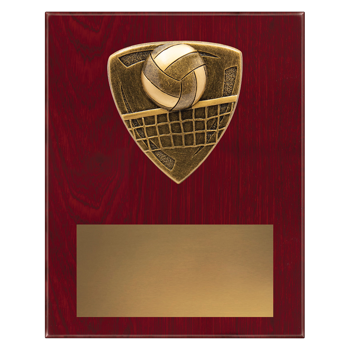 Nova Plaque - Volleyball