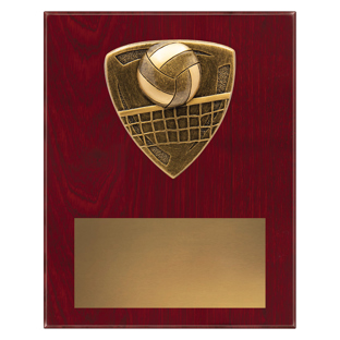 Nova Plaque - Volleyball