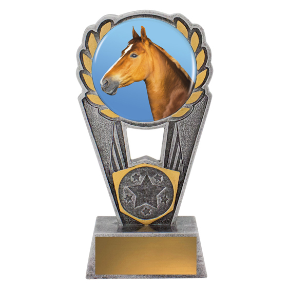 Horse Polaris - Colour!