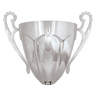 Rubicon Cup Silver!