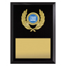 Focus Plaque