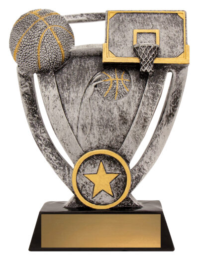 Basketball Budget Theme 145mm