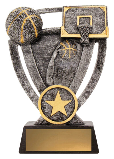 Basketball Budget Theme 125mm