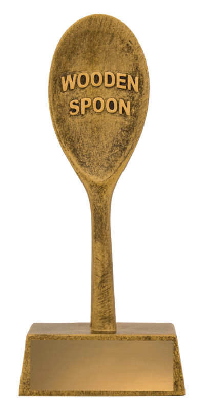 Wooden Spoon 165mm