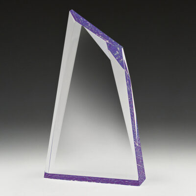 Acrylic Charger Purple 175mm - Image 2