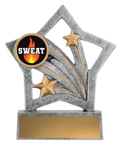 Flash Trophy Sweat Training 25mm Insert