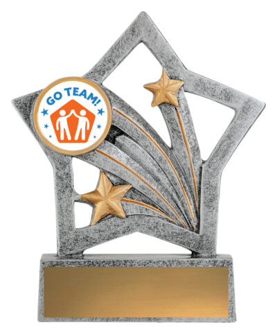 Flash Trophy Teamwork 25mm Insert