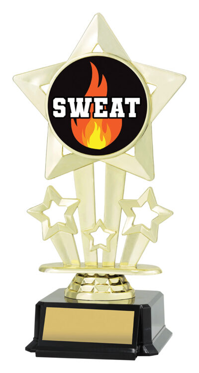 Icon Star Sweat 180mm