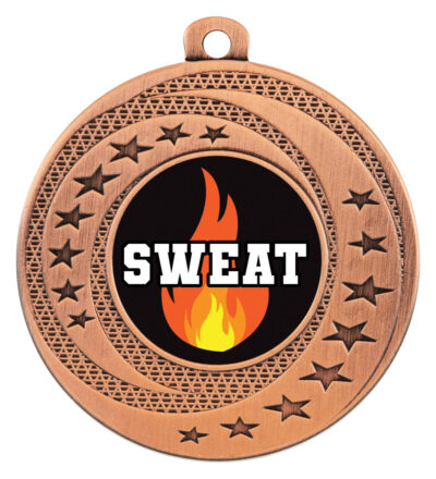 Wayfare Medal Sweat Training Bronze