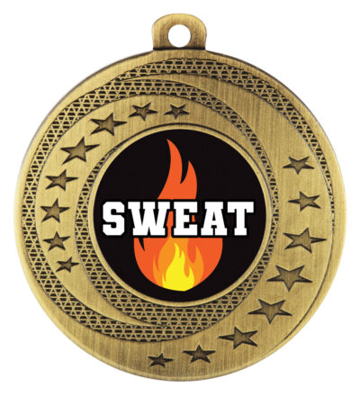 Wayfare Medal Sweat Training Gold