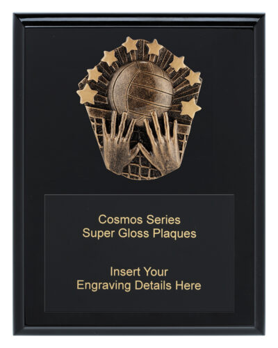 Cosmos Super Plaque Volleyball 225mm