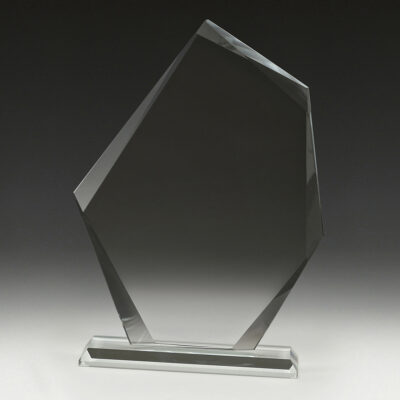 Clarity Peak Award 240mm - Image 2