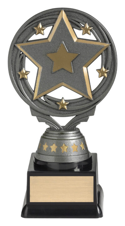 Star Budget Silver 165mm