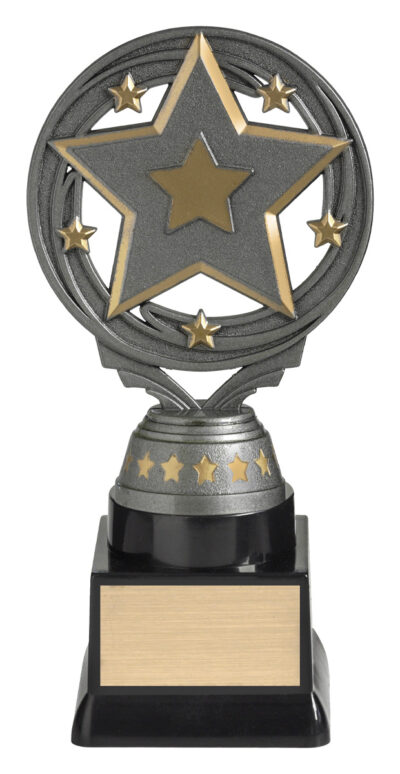Star Budget Silver 180mm
