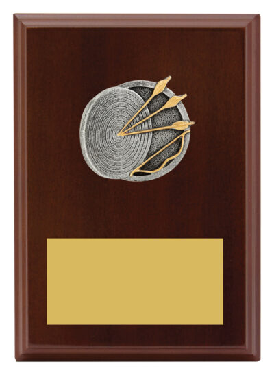 Plaque Peak Archery 175mm