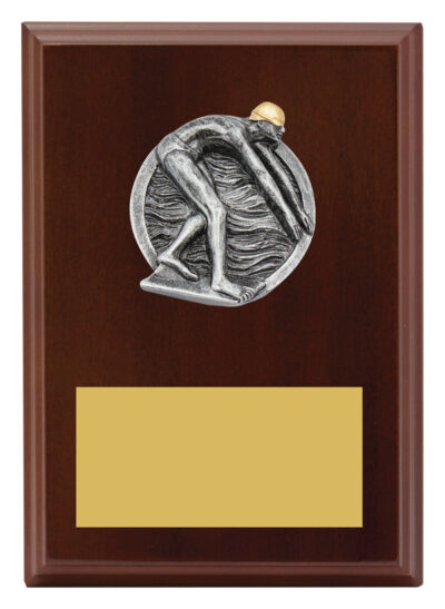 Plaque Peak Male Swim 175mm