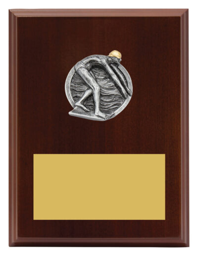Plaque Peak Male Swim 200mm