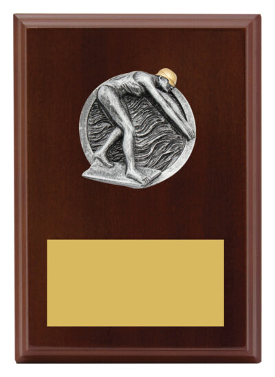 Plaque Peak Female Swim 175mm