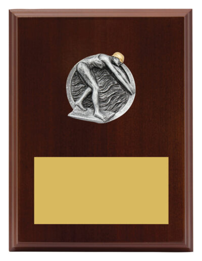 Plaque Peak Female Swim 200mm