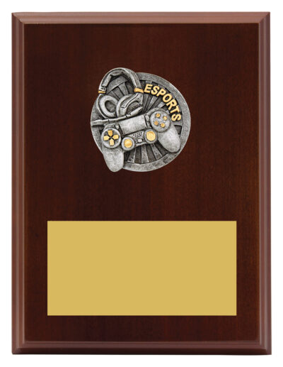 Plaque Peak Esports 200mm