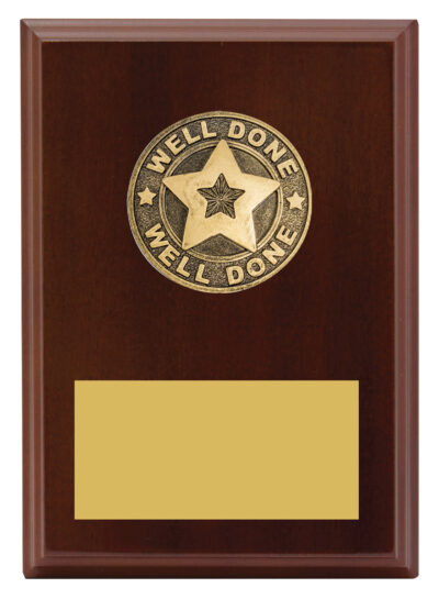 Well Done Plaque 175mm