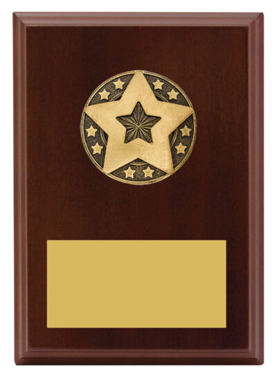 Star Award Plaque 175mm